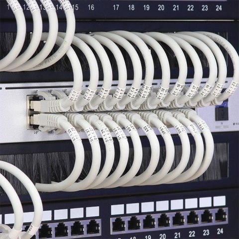 Przepust szczotkowy do szaf RACK 19" | 1U Qoltec