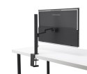 Monitor 27 cali MB27ACF ZEN SC IPS QHD100Hz USB-C HDMI Asus