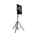Stojak mobilny do TV LCD/LED/PDP 37-70 cali 35kg pochylany VESA Manhattan