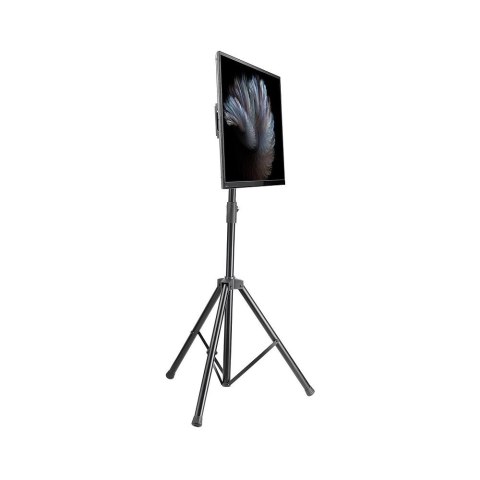 Stojak mobilny do TV LCD/LED/PDP 37-70 cali 35kg pochylany VESA Manhattan Stojak mobilny do TV LCD/LED/PDP 37-70 cali 35kg pochylany VESA Manhattan