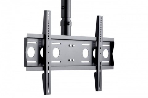 CMS21 Uchwyt sufitowy uchylny do monitorów 40-75 cali VESA 100x100 - 600x400 60 kg 1300-2100 mm Edbak