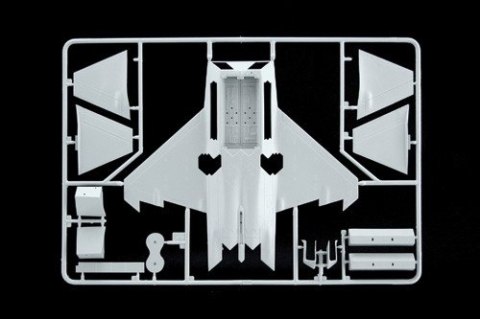 Model plastikowy F-22 Raptor Italeri