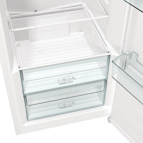 Chłodziarka R619EEW5 Gorenje