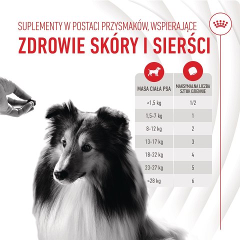 ROYAL CANIN Skin & Coat Adult Dog Supplements 240g ROYAL CANIN Skin & Coat Adult Dog Supplements 240g