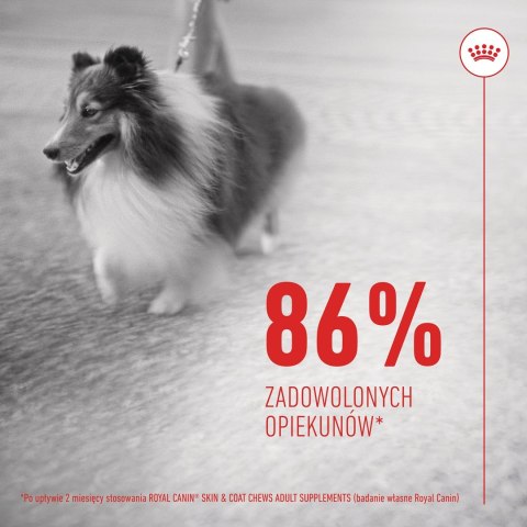 ROYAL CANIN Skin & Coat Adult Dog Supplements 240g ROYAL CANIN Skin & Coat Adult Dog Supplements 240g