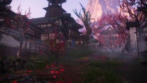 Gra Nintendo Switch 2 Wild Hearts S