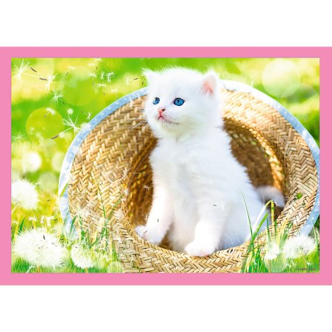 Puzzle - 4w1 (35, 48, 54, 70) - Zabawne kotki - Trefl 34396