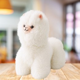 LEAN Toys Pluszowa Maskotka Przytulanka Lama Biała 40 x 40cm