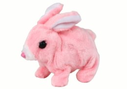 LEAN Toys Chodzący Króliczek Zabawka Interaktywna Krótka Sierść Różowy