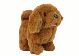 LEAN Toys Chodzący Piesek Zabawka Interaktywna Szczekający Brązowy