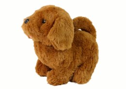 LEAN Toys Chodzący Piesek Zabawka Interaktywna Szczekający Brązowy