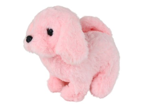 LEAN Toys Chodzący Piesek Zabawka Interaktywna Szczekający Różowy LEAN Toys Chodzący Piesek Zabawka Interaktywna Szczekający Różowy