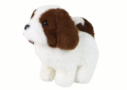 LEAN Toys Chodzący Piesek Zabawka Interaktywna Szczekający Szczeniak Biało-Brązowy