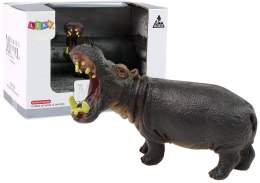 LEAN Toys Duża Figurka Kolekcjonerska Hipopotam Zwierzęta Świata