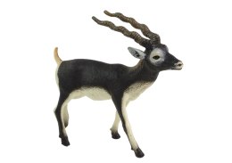 LEAN Toys Figurka Kolekcjonerska Antylopa Blackbuck Zwierzęta Świata