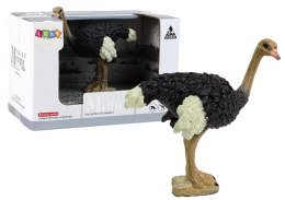 LEAN Toys Figurka kolekcjonerska Struś Seria Zwierzęta Świata