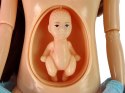 LEAN Toys Lalka Dla Dzieci W Ciąży Niebieska Sukienka