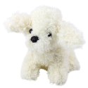 LEAN Toys Pluszowa Maskotka Przytulanka Piesek Pudel Miniaturowy Biały 20cm