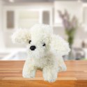 LEAN Toys Pluszowa Maskotka Przytulanka Piesek Pudel Miniaturowy Biały 20cm