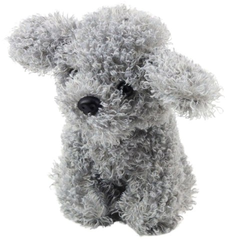 LEAN Toys Pluszowa Maskotka Przytulanka Piesek Pudel Miniaturowy Szary 20cm