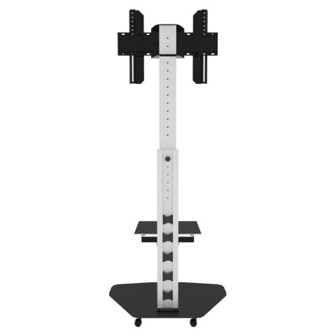 Stojak Mobilny LCD/LED 37-70cali, 40kg PIVOT Techly