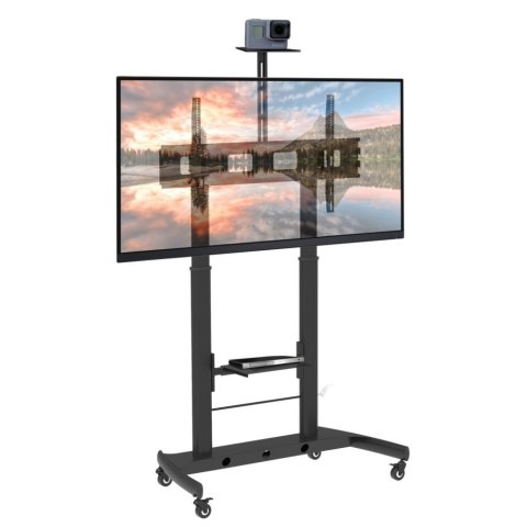 Stojak mobilny do tv 52-110 cali 120kg lub do tablicy interaktywnej Techly