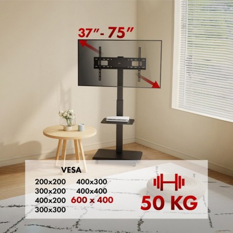 Stand dla TV, ER-304B Ergo Office