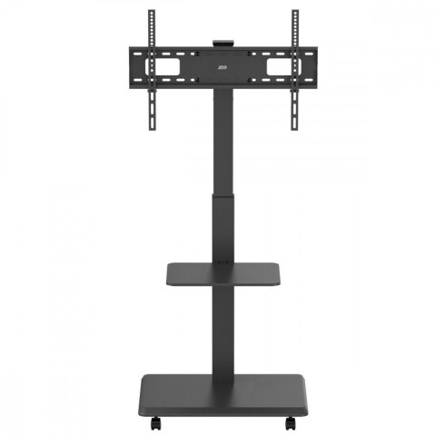 Stand dla TV, ER-304B Ergo Office