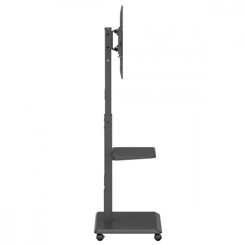 Stand dla TV, ER-304B Ergo Office