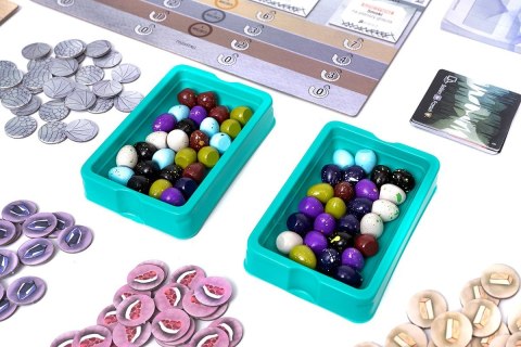 Gra Na skrzydłach smoków