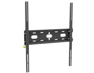 Uchwyt ścienny MD-WM6080 do 125kg do VESA 600x800mm IIYAMA