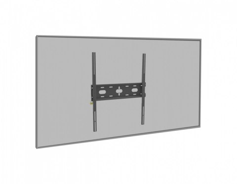 Uchwyt ścienny MD-WM6080 do 125kg do VESA 600x800mm IIYAMA