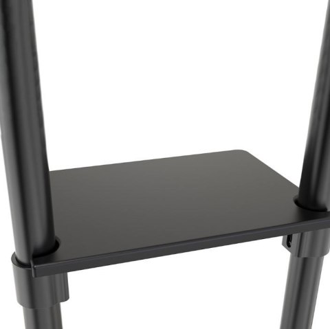 Mobilny stojak podłogowy NS-M1250 BLACK Neomounts