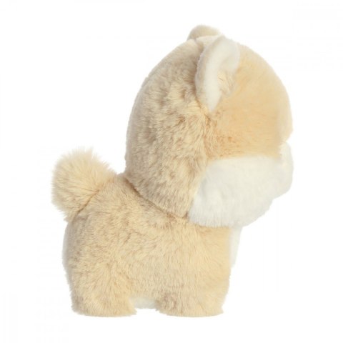 Maskotka TEDDY PETS Pomeranian