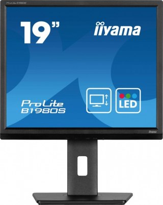Monitor 19 cali B1980S-B1 HDMI,DP.PIVIOT,HAS/150mm IIYAMA