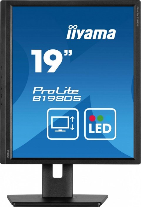 Monitor 19 cali B1980S-B1 HDMI,DP.PIVIOT,HAS/150mm IIYAMA