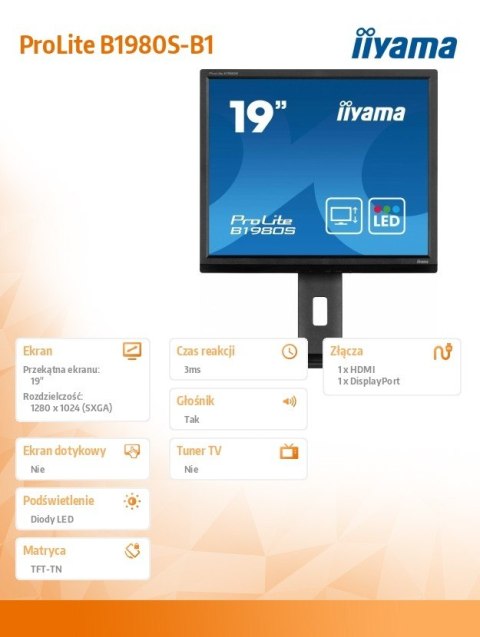 Monitor 19 cali B1980S-B1 HDMI,DP.PIVIOT,HAS/150mm IIYAMA