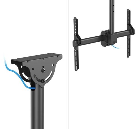 Uchwyt do monitora/TV CL35-440BL16L 37-70 cali 50kg