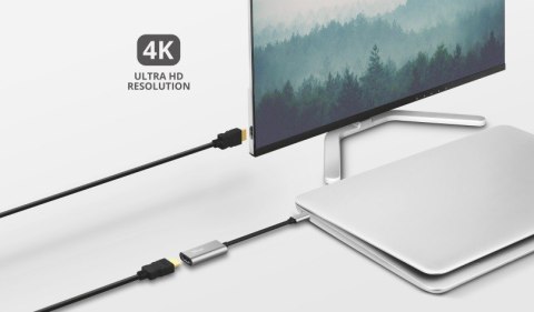 Adapter USB C HDMI DALYX Trust