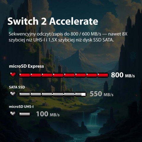 Karta microSDXC 256GB Express 800/600MB/s Nintendo Switch 2