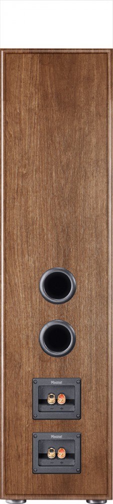 GĹoĹnik Monitor S80 ATM Walnut