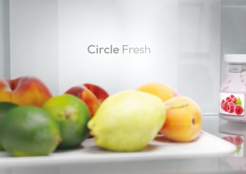 Chłodziarko-zamrażarka ECN2CQTEB186