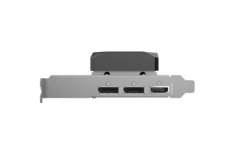 Karta graficzna GeForce RTX 5060 LP 8GB GDDR7 128bit 2DP/HDMI