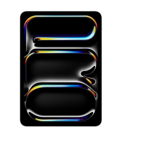 IPad Pro 13-calowy Wi-Fi + Cellular 256GB ze szkłem standardowym - Srebrny