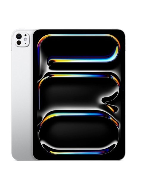 IPad Pro 13-calowy Wi-Fi + Cellular 256GB ze szkłem standardowym - Srebrny