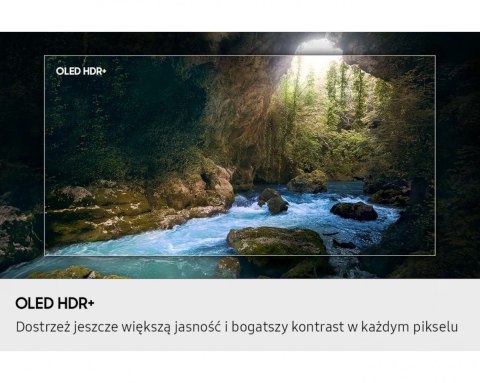 Telewizor OLED 48 cali QE48S90FAEXXH