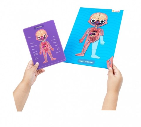 Zestaw Playshifu My super human body - Ciało człowieka