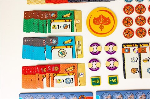 Gra Biały Zamek: Duel