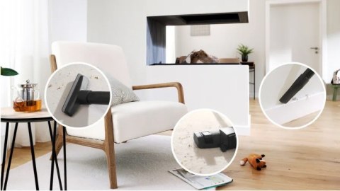 Odkurzacz workowy BGB41PET1 ProAnimal