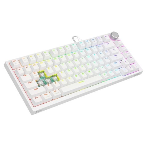 Klawiatura magnetyczna ASTRAL White OUTEMU White jade RGB
